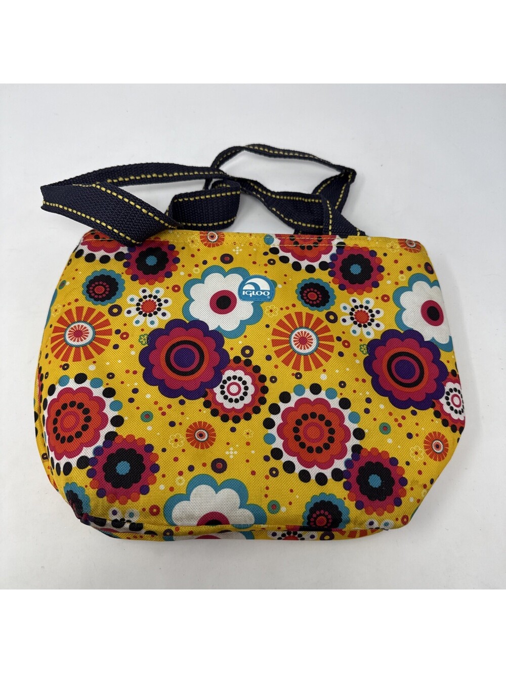 Igloo Colorful Lunchbox Cooler